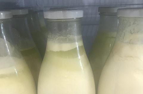 Standyoghurt wei